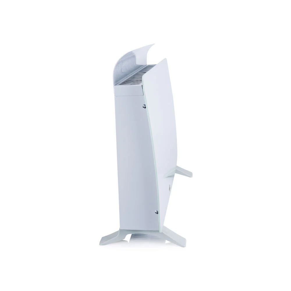 Ray - Image 4